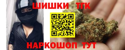шишки Кингисепп