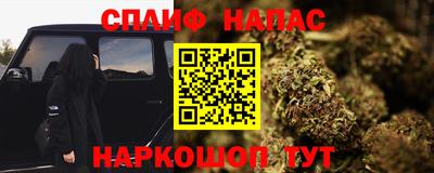 шишки Кингисепп