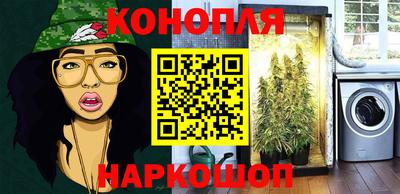 шишки Кингисепп