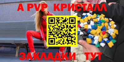 шишки Кингисепп