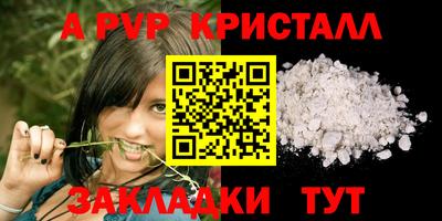 шишки Кингисепп