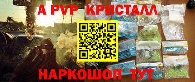 шишки Кингисепп