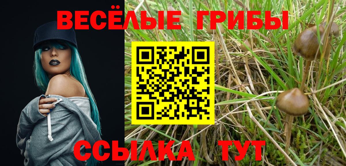Галлюциногенные грибы Magic Shrooms  Вход с VPN  Лангепас 